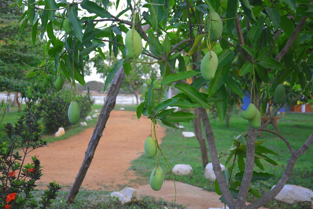 Serenity Lake Resort Yala Tissamaharama Exterior foto